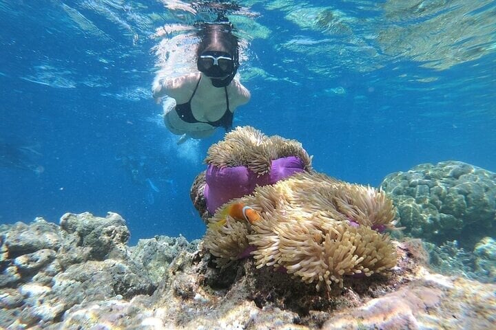 Canyon Salama Jeep Safari and Dahab Snorkelling Trip from Sharm El Sheikh, photo 4