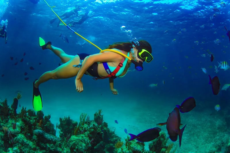 Marmaris Scuba Diving Experience with Two Dives & Hotel Transfers, photo 2