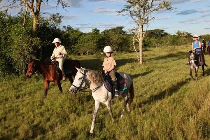 Antalya Horse Riding Experience, photo 2