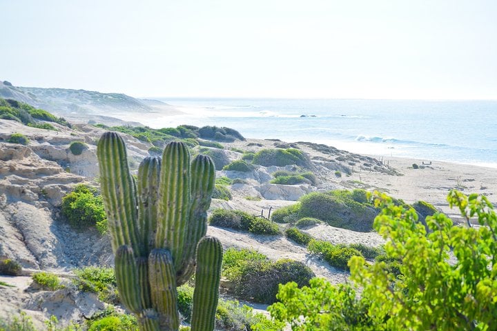 Private Cabo Pulmo Jeep Tour with Snorkelling, Los Cabos, photo 3