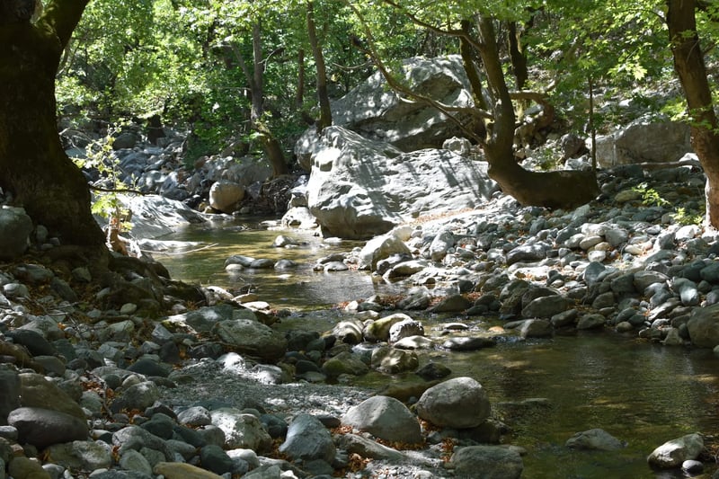 Manikia Waterfall River Trekking, photo 5