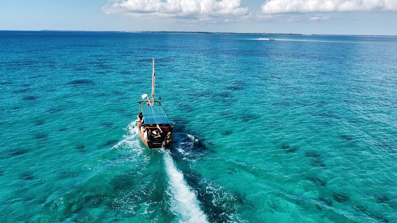Half Day Fishing Tour in Zanzibar, photo 2