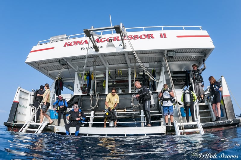 Marmaris Scuba Diving Experience with Two Dives & Hotel Transfers, photo 3