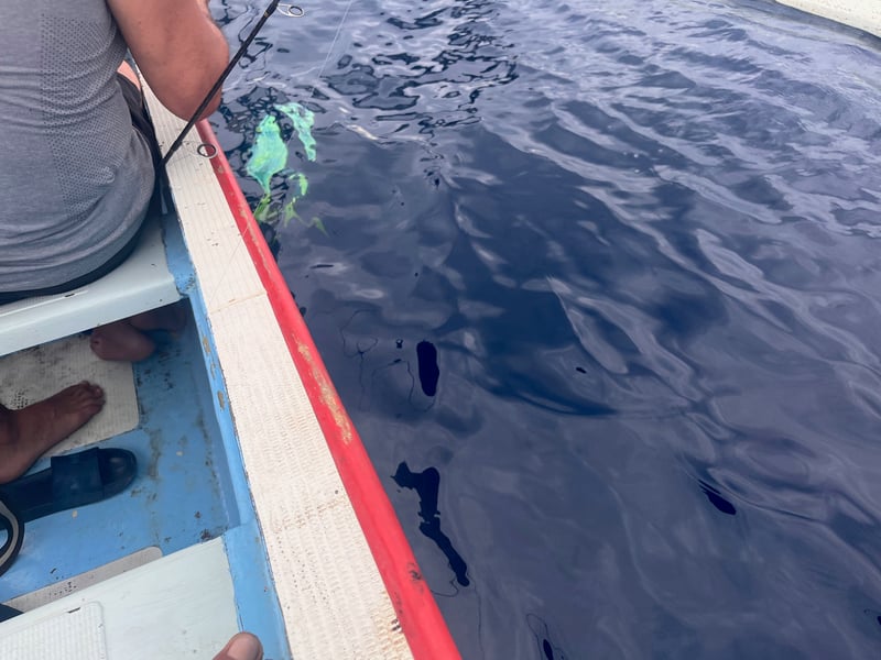 Full Day Fishing Tour in North Bali, photo 4