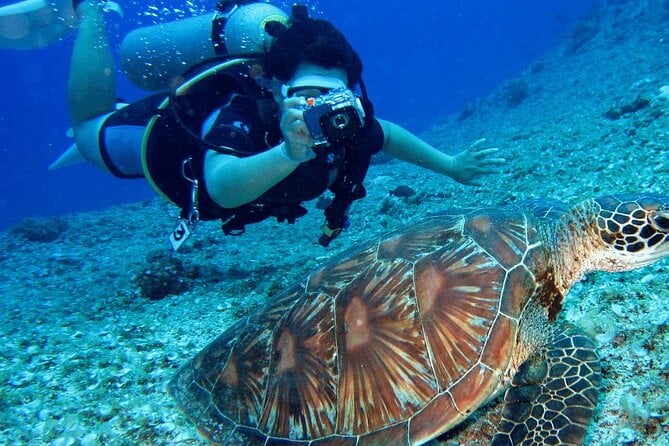 Bodrum Scuba Diving Experience with Lunch & Hotel Transfers, photo 3