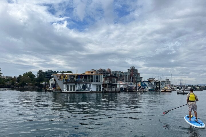 Paddling Inner Harbour Downtown Victoria, photo 3