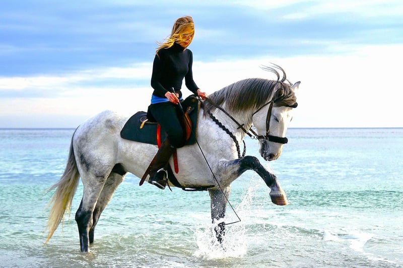 1-Hour Seaside Horse Riding Sharm El Sheikh Desert Safari, photo 2