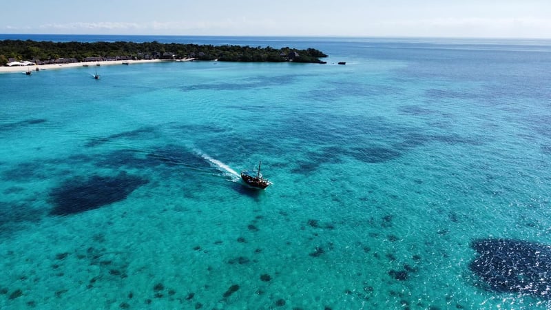 Half Day Fishing Tour in Zanzibar, photo 3