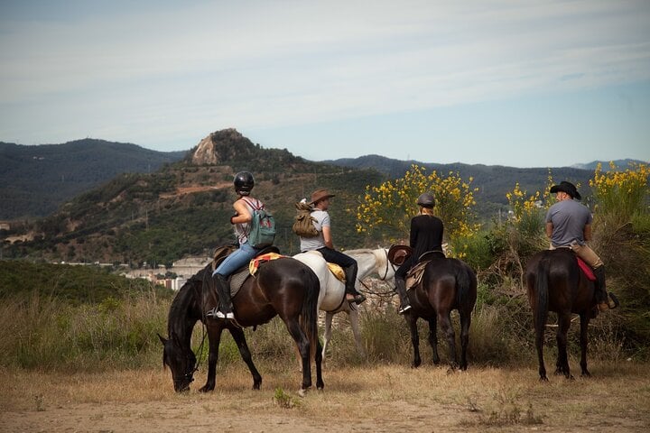 Alanya Horse Riding Experience, photo 5