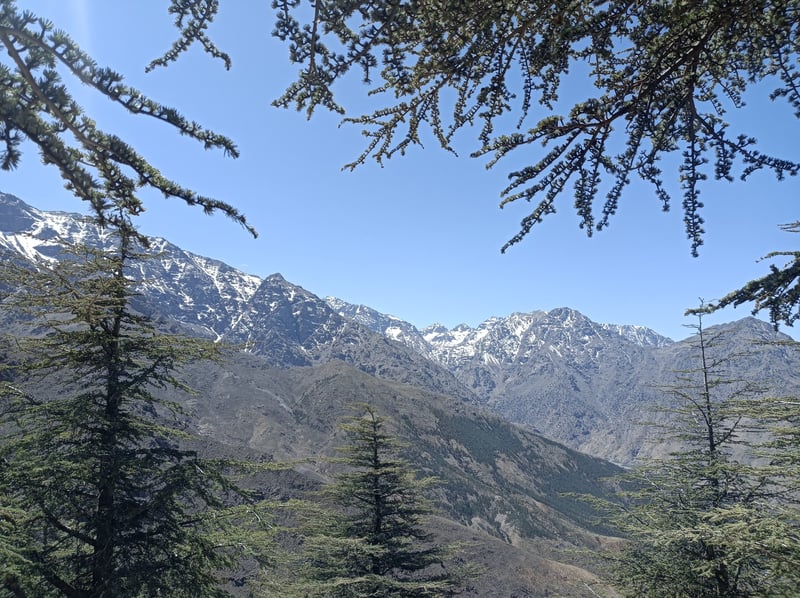 Talamrout Summit Day Hike from Marrakech, photo 2