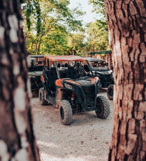 Jungle Buggy Ride in Playa del Carmen, photo 3