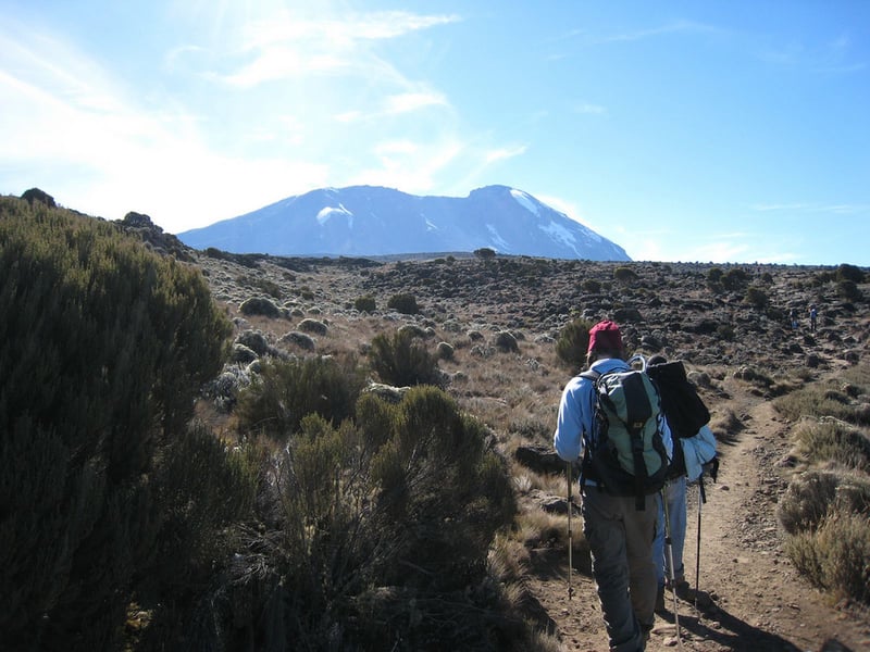 6 Days – Kilimanjaro Climbing – Umbwe Route, photo 2