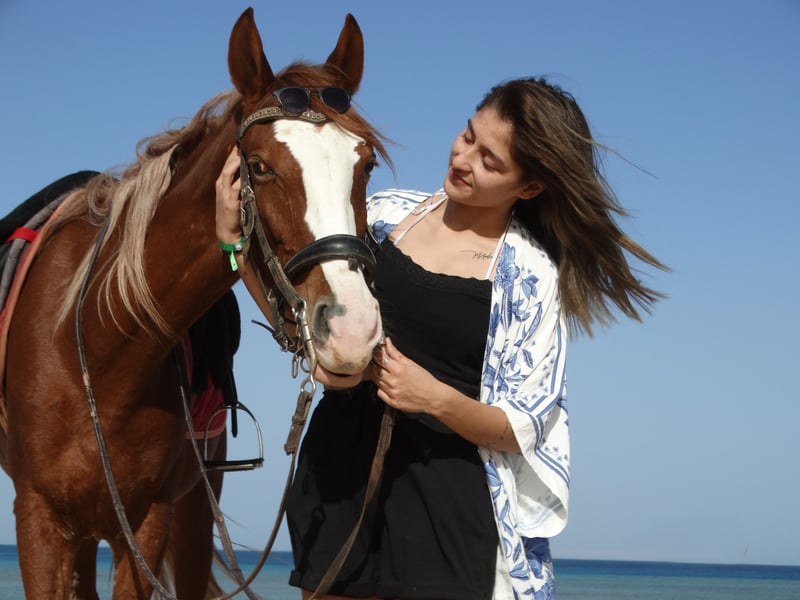Premium 2 Hours Horse Riding, Desert Trail & Sea Beach - Hurghada, photo 4