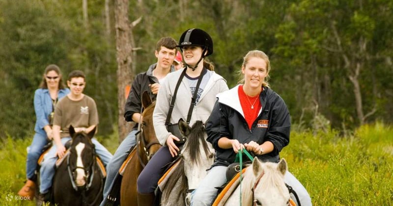 Side Horse Riding Safari through Forest & Beach with Hotel Transfers, photo 4