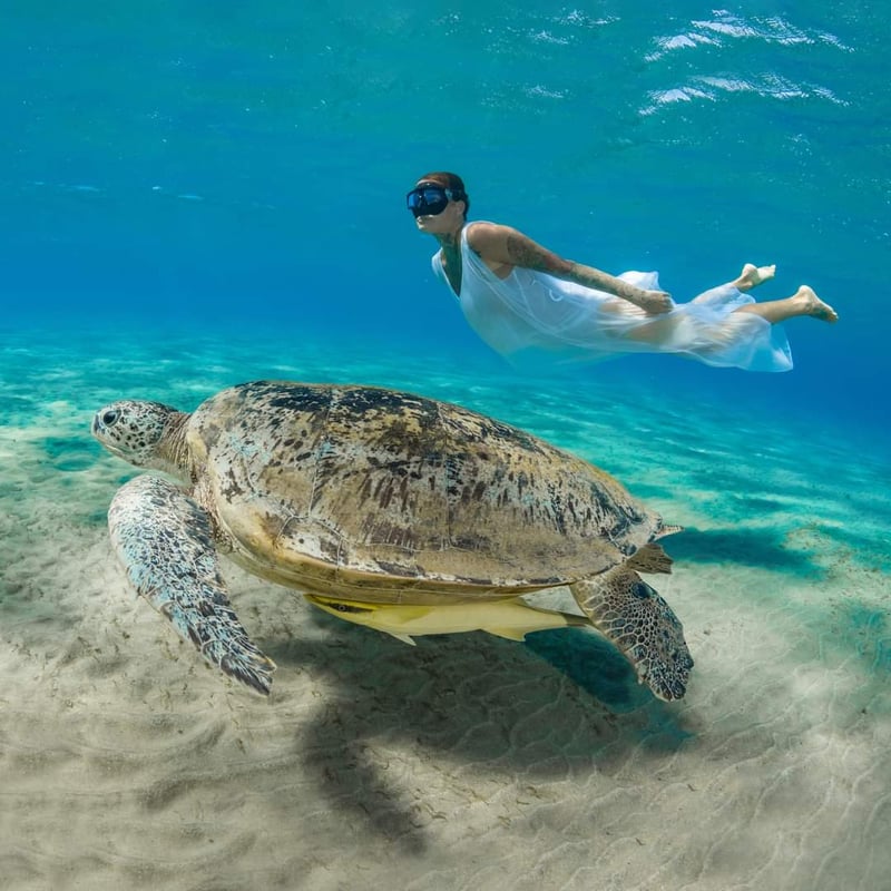 Premium Abu Dabbab Elite Turtle House & Snorkeling - Hurghada, photo 3