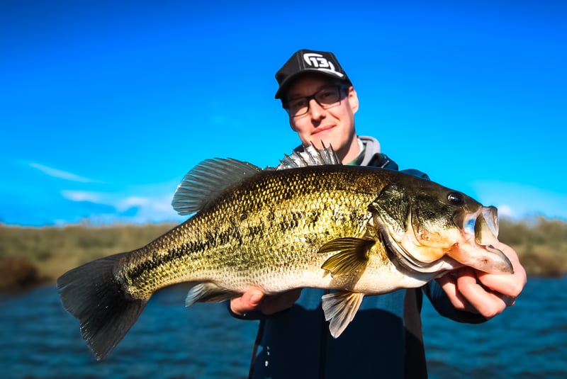 Week-Long Guided Predator Fishing Trip in Extremadura, photo 3