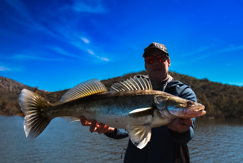 Self-Drive Fishing Boat Rental in Extremadura, photo 4