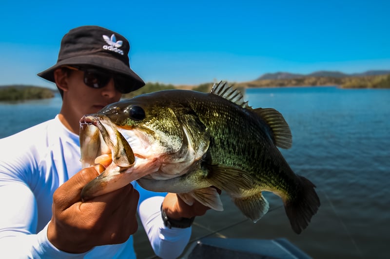 Self-Drive Fishing Boat Rental in Extremadura, photo 5