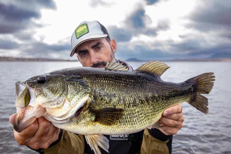 Half-Week Guided Predator Fishing Trip in Extremadura, photo 4