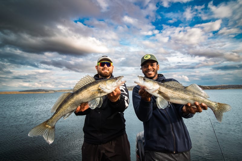 Week-Long Guided Predator Fishing Trip in Extremadura, photo 4