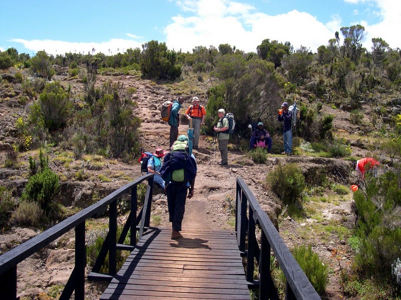Day Trip to Kilimanjaro Short Trek, photo 2