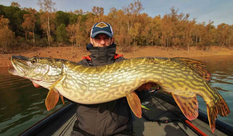 Half-Week Guided Predator Fishing Trip in Extremadura, photo 3