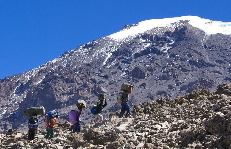 11 Days – Kilimanjaro Trekking and Wildlife Safari, photo 3