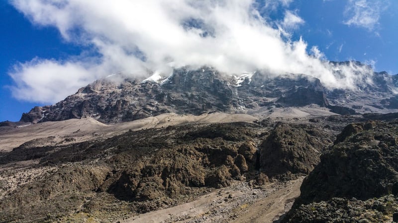 11 Days – Kilimanjaro Trekking and Wildlife Safari, photo 4