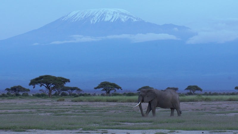 7-Day Kilimanjaro Climb via the Machame Route – “Whiskey Route” Adventure, photo 5