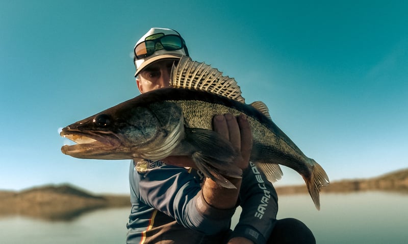 Week-Long Guided Predator Fishing Trip in Extremadura, photo 2