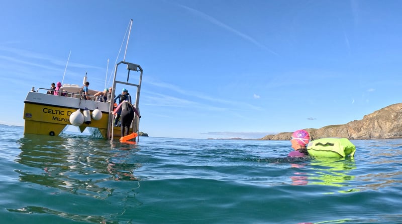 Coastal Wild Swim Boat Trip in Pembrokeshire, photo 4