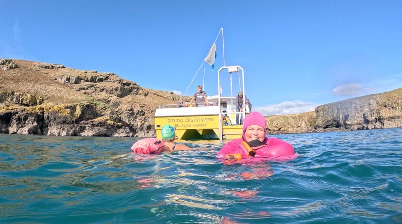 Coastal Wild Swim Boat Trip in Pembrokeshire, photo 5
