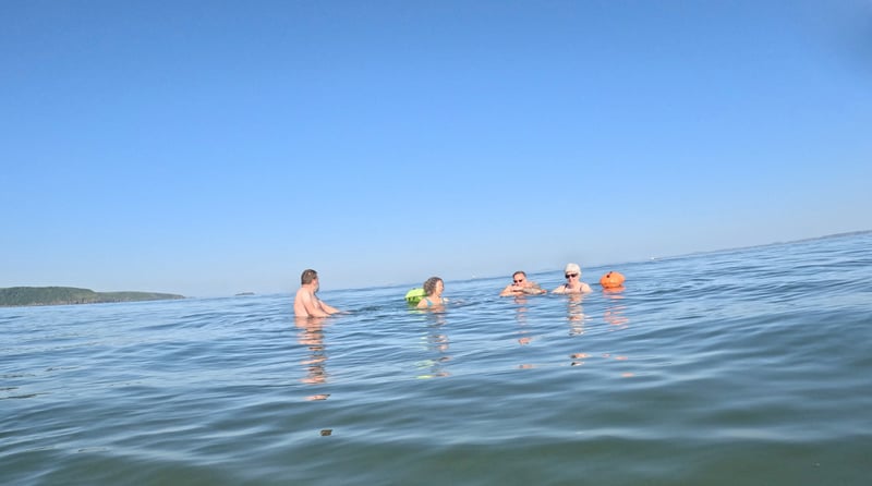Pembrokeshire Wild Swim Adventure, photo 3