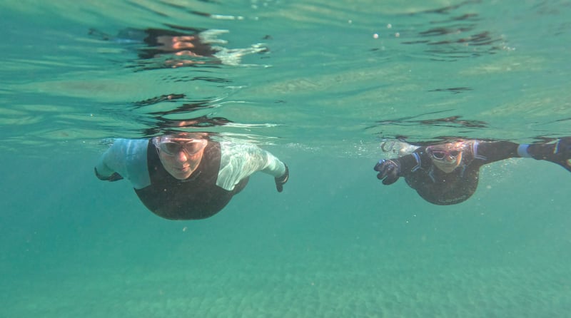 Pembrokeshire Wild Swim Adventure, photo 4