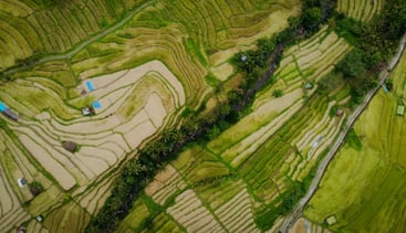Bali Rural Trekking Adventure in Rice Fields and Hidden Canyon, photo 4