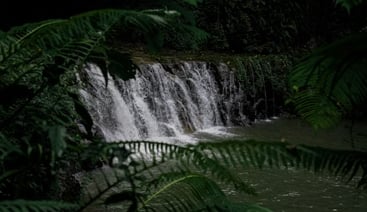 Bali Rural Trekking Adventure in Rice Fields and Hidden Canyon, photo 2