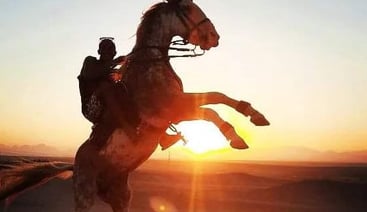Premium Desert Horse Riding Experience in Hurghada, photo 4