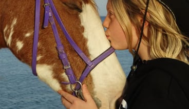 Premium Horse Riding and Swimming Experience in Hurghada, photo 4