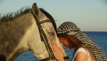 Premium Horse Riding and Swimming Experience in Hurghada, photo 2
