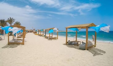 Premium Abu Dabbab Turtle Snorkelling Adventure from Hurghada, photo 4