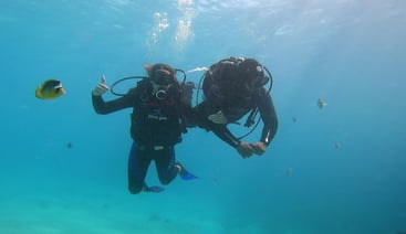 Premium Beginner Scuba Diving Experience with Two Dive Stops in Hurghada, photo 2