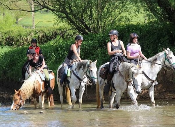Alanya Horse Riding Experience in the Taurus Mountains with Transfers, photo 3