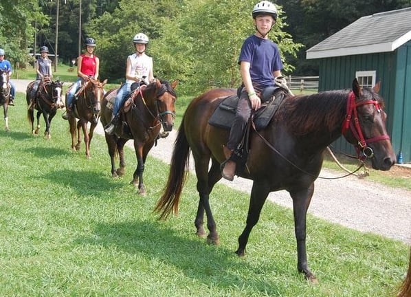 Alanya Horse Riding Experience in the Taurus Mountains with Transfers, photo 2