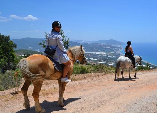 Alanya Horse Riding Experience in the Taurus Mountains with Transfers, photo 5