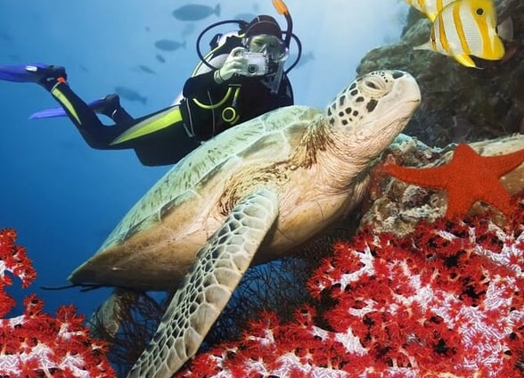 Kemer Scuba Diving Experience with BBQ Lunch & Hotel Transfers, photo 3