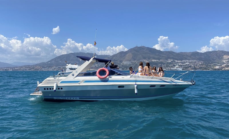 Dolphin Watching Boat Tour Benalmádena, photo 5