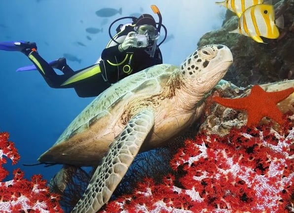 Alanya Scuba Diving Experience with Two Dives, Lunch & Hotel Transfers, photo 4