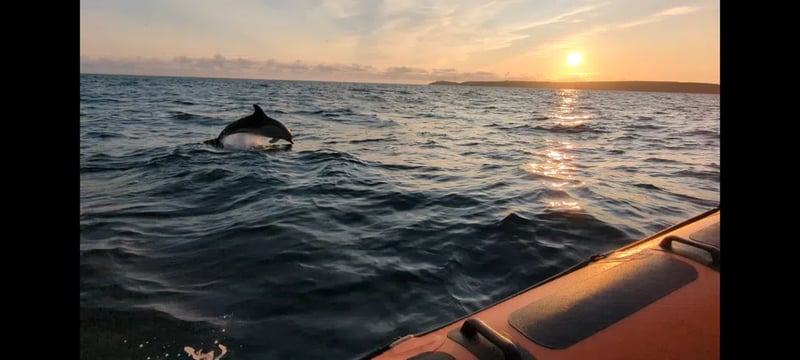 Golden Hour Boat Trip Experience in Penzance, Cornwall, photo 2