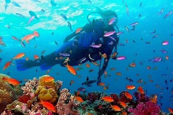 Snorkelling in Trincomalee: Guided Reef and Coastal Tour, photo 2