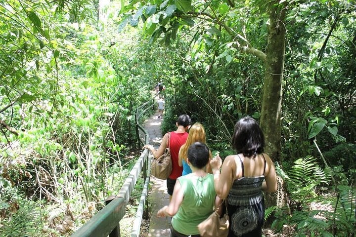 Private Argentine Falls: Devil’s Throat, Upper Trail and Boat Ride, photo 5